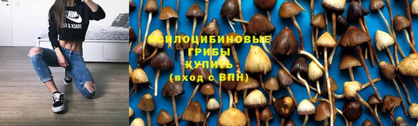 прущая мука Алексин