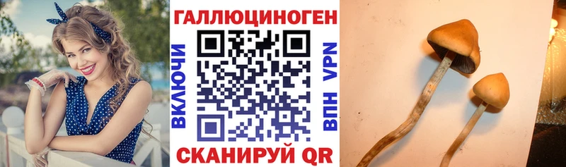 мориарти телеграм  Конаково  Галлюциногенные грибы ЛСД 