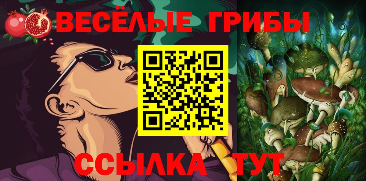Псилоцибиновые грибы MAGIC MUSHROOMS  Галлюциногенные грибы Magic Shrooms  Конаково  Вход с VPN 